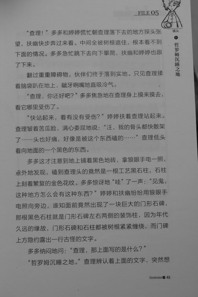第45页