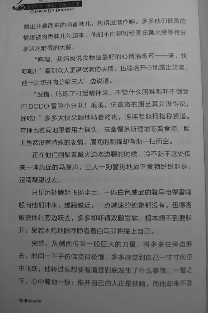 第110页