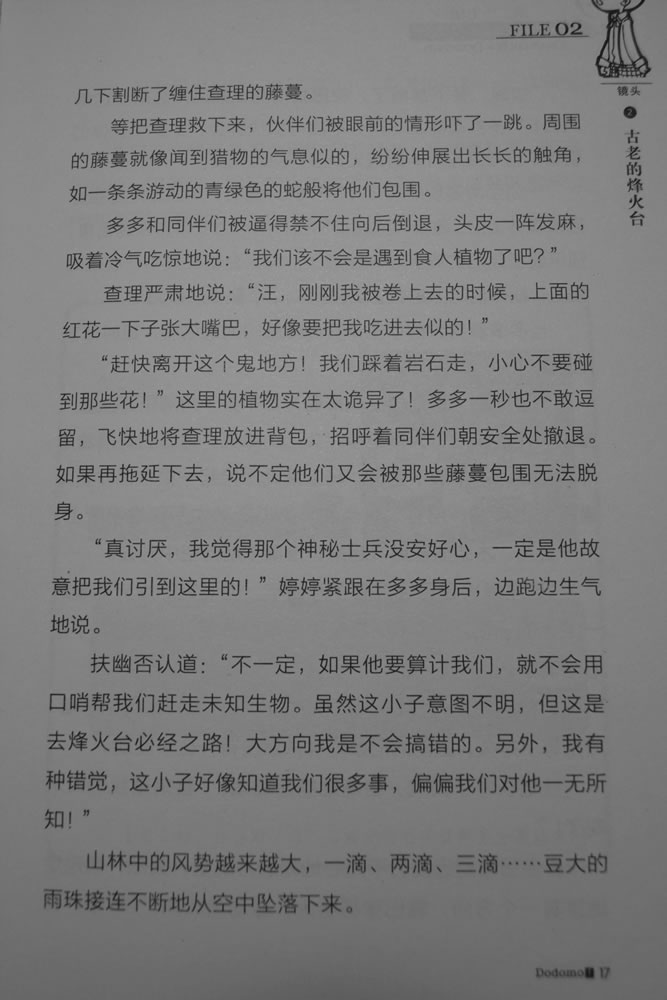 第17页