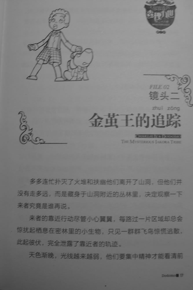 第17页