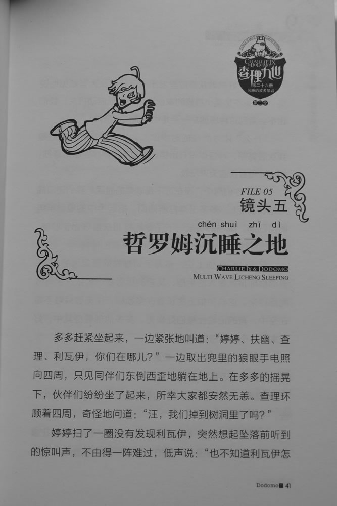 第41页