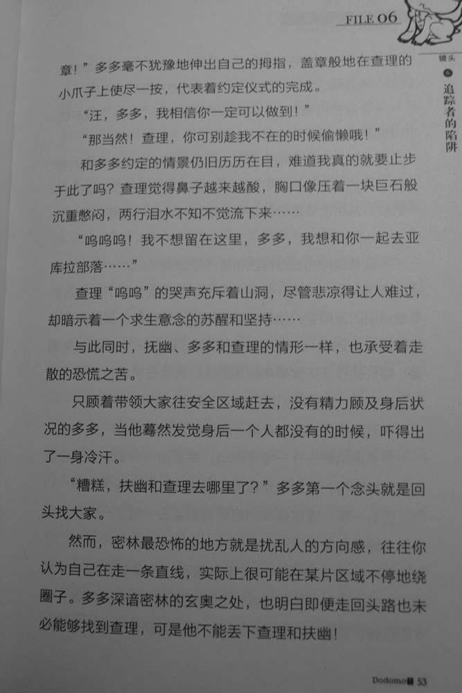 第53页