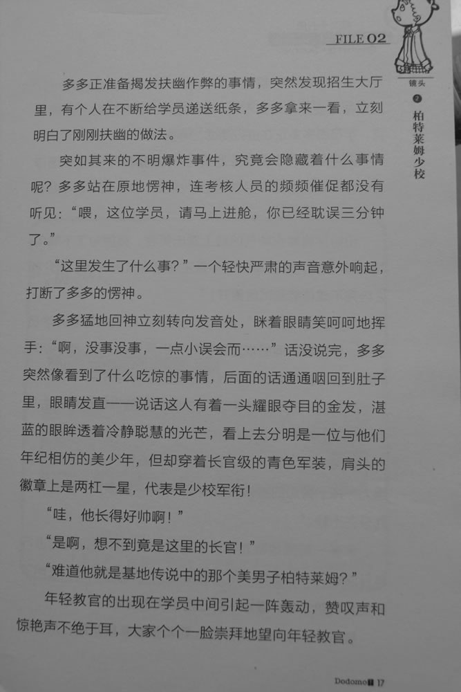 第17页