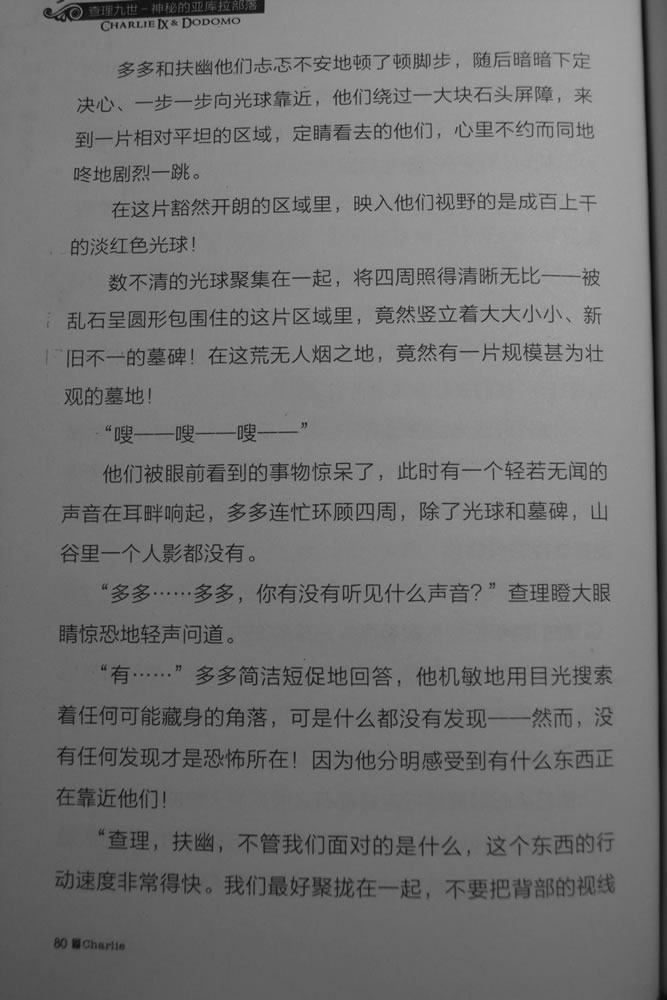 第80页
