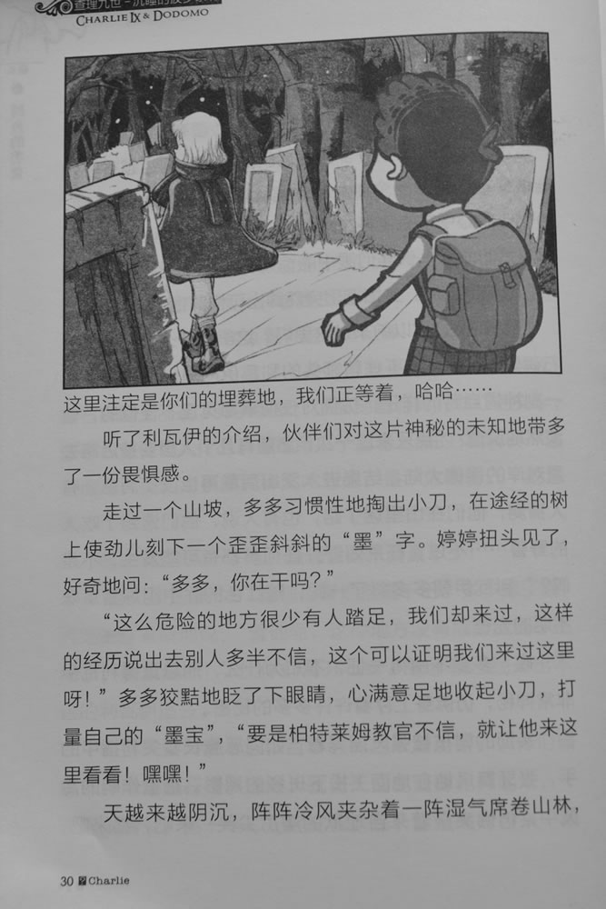第30页