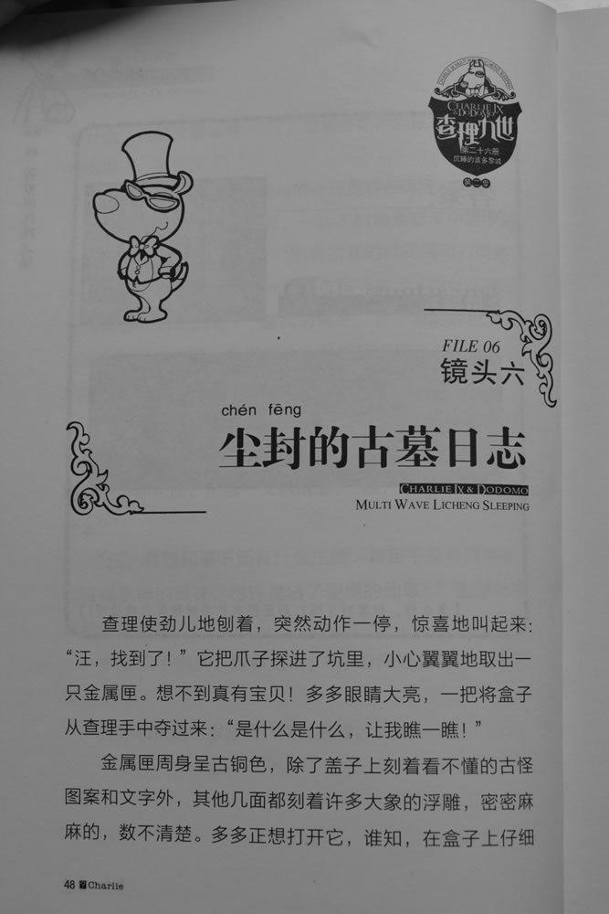 第48页