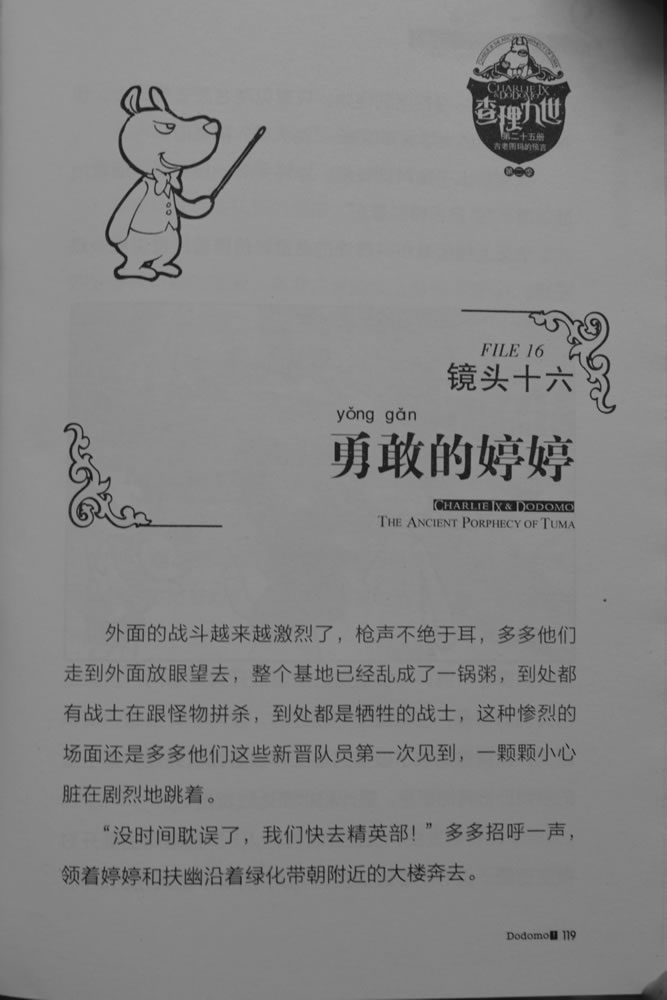 第119页