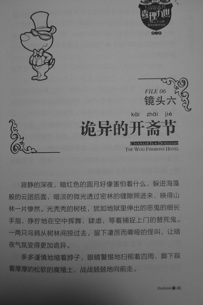 第45页