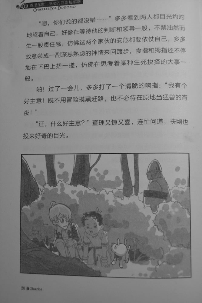 第20页