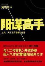 阳谋高手