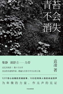 青苔不会消失