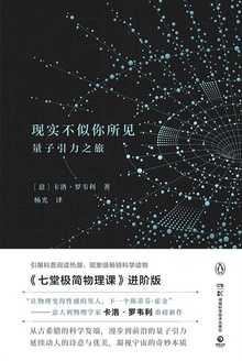 现实不似你所见：量子引力之旅
