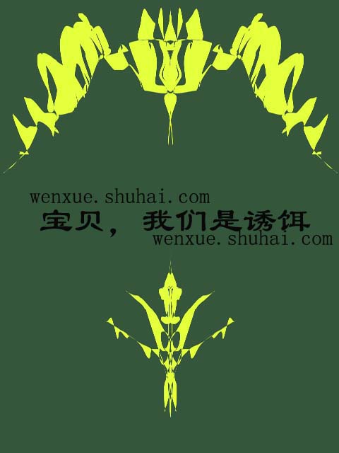 宝贝，我们是诱饵在线阅读