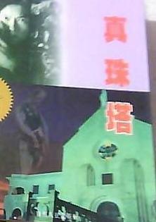 真珠塔在线阅读