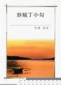 妙贼丁小勾在线阅读