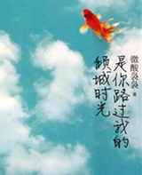 是你路过我的倾城时光在线阅读